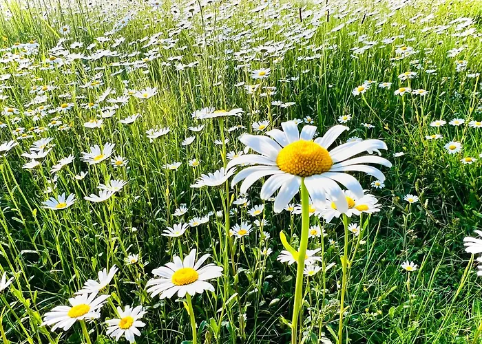 Dom wakacyjny Faaker 23 Faak am See